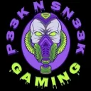 P33KnSN33K  Gaming