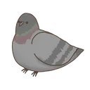 Pigeon Nest