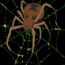 The Widow's Web