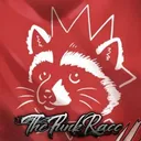 ThePunkRacc Youtube Server