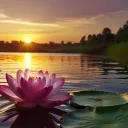 𝐒𝐡𝐚𝐫𝐝𝐬𝐎𝐟𝐒𝐮𝐧☀