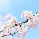Lepil 자유소통서버