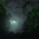 Moonlit       Ruins Discord Server Icon