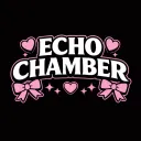 Echo Chamber ୨ৎ