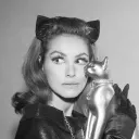 Catwoman's scratching post