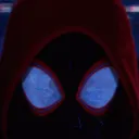 The Whole Spiderverse