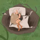 The Dodo Nest