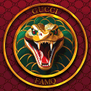 Gucci famq 5RP