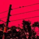 Tangle Discord Server Icon