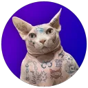 catwiftat
