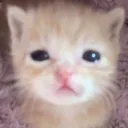 💩 (˵◝⩊◜˵マ 𝐓𝐚𝐠 𝐜𝐚𝐜𝐚 | .𝐠𝐠/𝐫𝐢𝐯𝐢𝐞𝐫𝐞 ᢉ𐭩