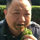 ✧- Grass -✧ Discord server icon