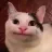 Beluga-Ville Discord server icon