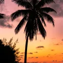 Best Investors & Beginning Bus... Discord Server Icon