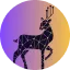 Deerhack 2024
