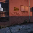 Insane Family Gangster Bloods