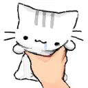 kutecord