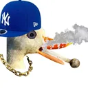 Royal Stonerz's Drug Channel (AKA, Da smoke shack/da trap house)