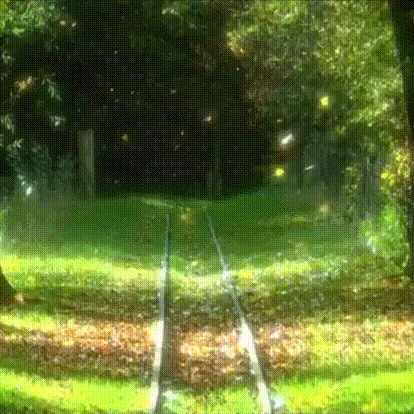 Loru — мониторинг Discord сервера, статистика и рейтинг