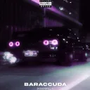 BARACCUDA