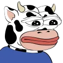 NP