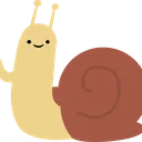 A Snail's Shell
