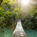 The Footbridge