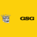 [GSG] 🟨 SCREAMER.GANG 🟨 Discord server icon