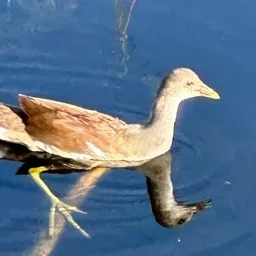 Art Supporters | Tag Server banner