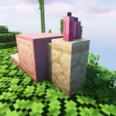 Beginnings SMP 📖
