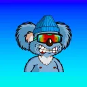 Zim's Server