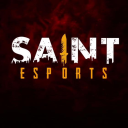 Saint Esports Discord server icon