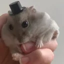 Hampters Mods!