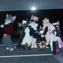 Cool Cat Club