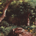 Woody Hollow 18+