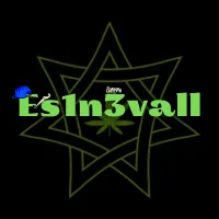 ♛ Es1n3vall ♛ — мониторинг Discord сервера, статистика и рейтинг
