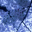ZENそ| Fate