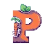 Pixelated