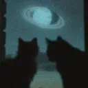 ₊⊹ Starlight 💫 Avenue