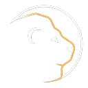 Space Lion Studios