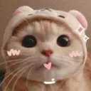 pp