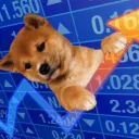 $UPDOG