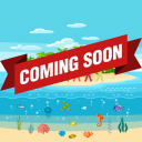 Inclusion Island (Coming Soon)