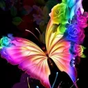 Butterfly42's server Discord server icon