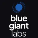 Blue Giant Labs server