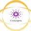 Coxygen Global