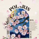 Polaris | ラリス 🌸