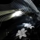 °˖➴         Sigma