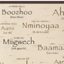 Anishinaabemowin Beginner