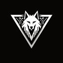BORZ NOXUS CLAN icon